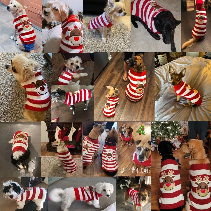 Christmas Knitted Wear Pet Special