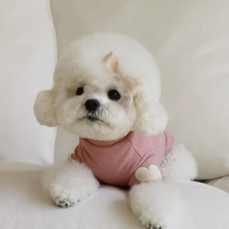 Cute Love Teddy Yorkshire Hoodie