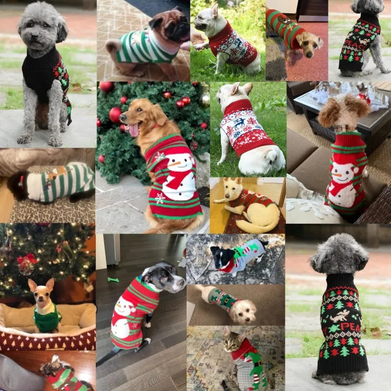 Christmas Knitted Wear Pet Special