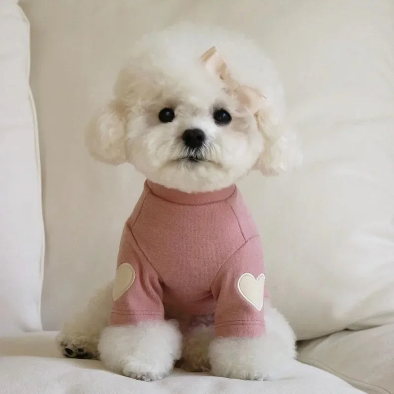 Cute Love Teddy Yorkshire Hoodie