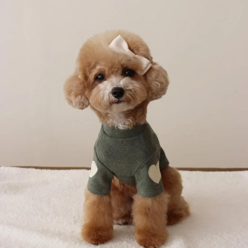 Cute Love Teddy Yorkshire Hoodie
