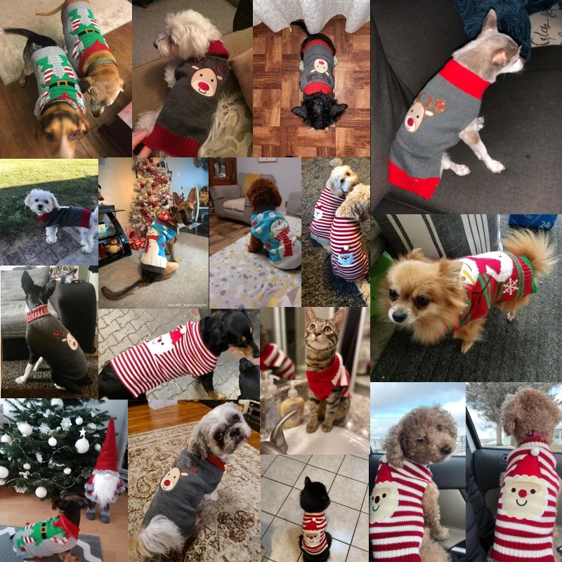 Christmas Knitted Wear Pet Special