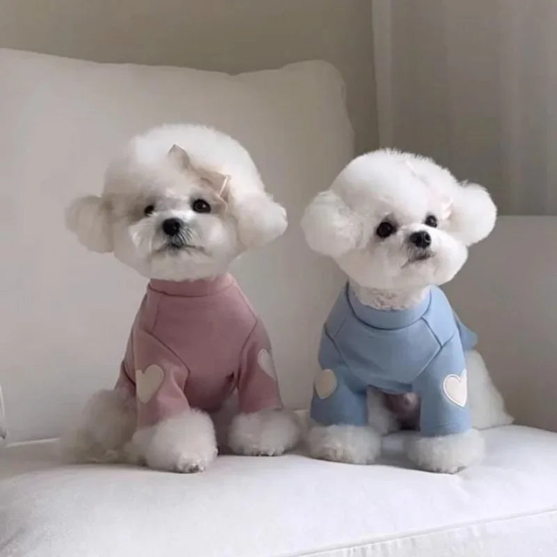 Cute Love Teddy Yorkshire Hoodie