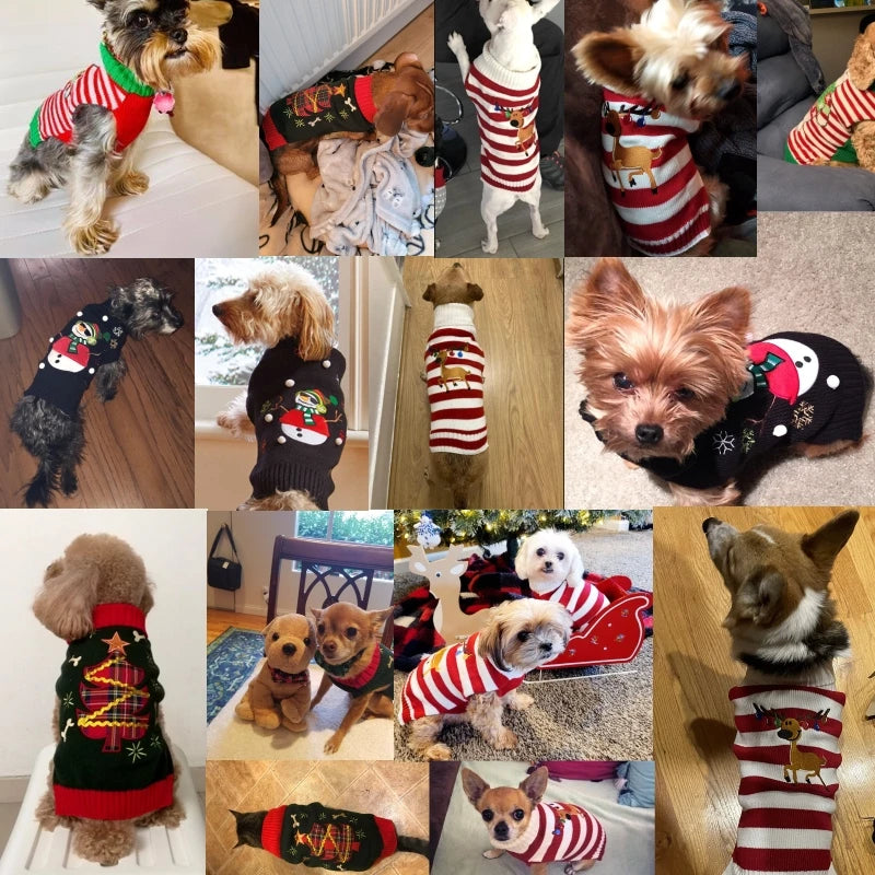 Christmas Knitted Wear Pet Special