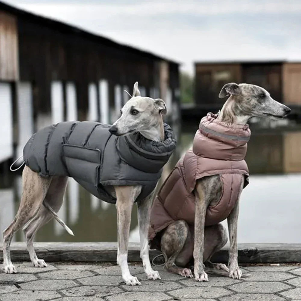 Stylish Windproof Dog Clothes