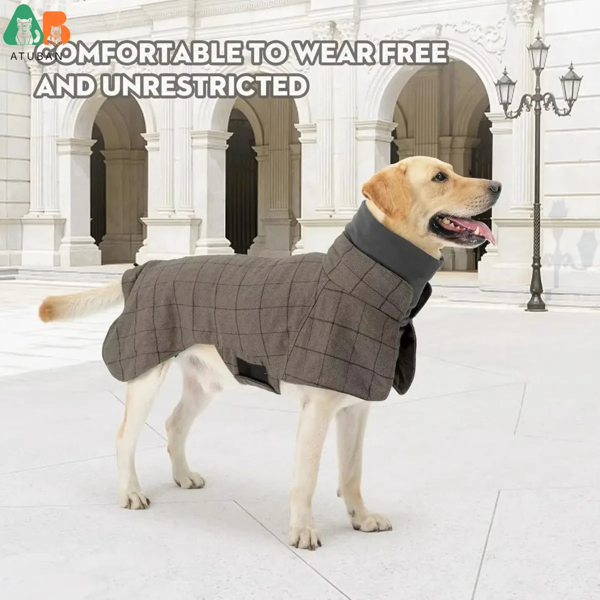 Dog's Winter Gentleman's Walking Coat