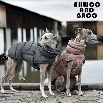 Stylish Windproof Dog Clothes