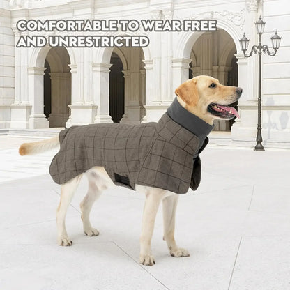 Dog's Winter Gentleman's Walking Coat