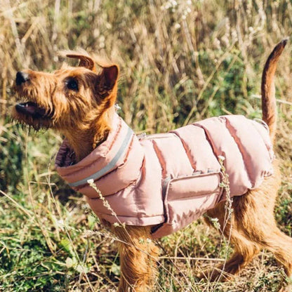 Stylish Windproof Dog Clothes